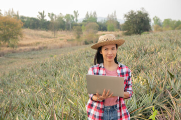 Asian female farmer see growth of pineapple in farm, agricultural Industry, agriculture business concept. Innovation technology for smart farm system, farmer occupation. farmer holding laptop in field