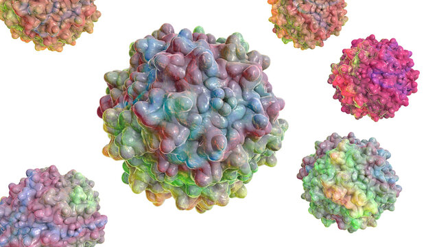 Adeno-associated viruses, 3D illustration