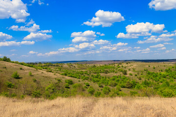 Fototapeta na wymiar Spring landscape with green trees, meadows, fields and blue sky