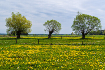 Krajobraz wiejski Podlasia, Polska