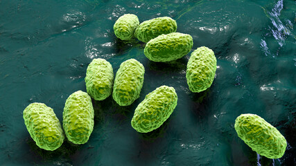 Whooping cough bacteria Bordetella pertussis, 3D illustration