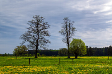 Krajobraz wiejski Podlasia, Polska