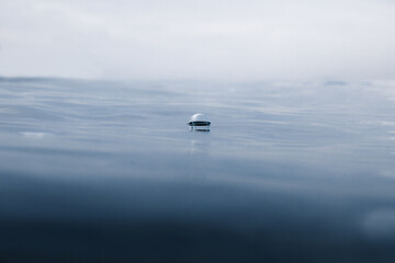Pequeña burbuja flotando solitaria en medio del océano.