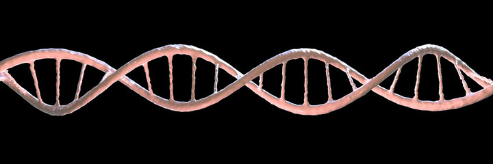 Molecule of DNA, double helix, 3D illustration