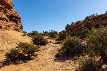 Desert Hiking Path with brush