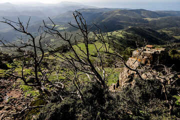 View from Arcuentu mountain, Sardinia, Italy