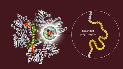Molecule of the mutant Huntingtin protein, mHtt, the cause of Huntington's disease, 3D illustration