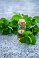 Peppermint essential oil in a small bottle. Selective focus.