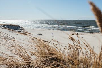 The sandy beach on the Baltic Sea coast near the town of Baltiysk. Baltic Spit - obrazy, fototapety, plakaty