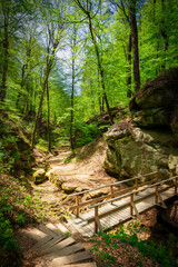 Beautiful mullerthal hiking trail in Berdorf, Luxembourg, Europe