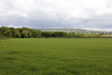 Promenade au printemps