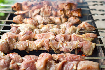 Skewers of pork. Fried pork meat cooked over burning coals.
