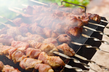Pork skewered on a skewer, roasted over burning coals. Smoke from smoldering wood rises above the kebab.
