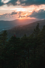 Summer majestic sunset. Sun rays piercing clouds. Forest silhouette. Moody evening.