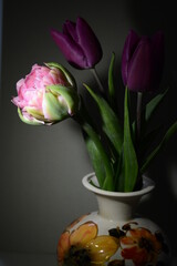 Three pink tulips in a vase on a dark background