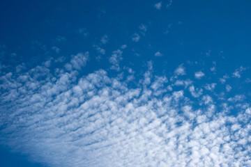 clouds in the blue sky, cirrocumulus - obrazy, fototapety, plakaty