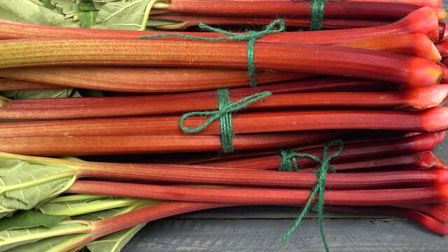 Bundles of rhubarb are sprinkled with water to maintain freshness on a retail counter in a store