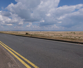 View along road with double yellow lines beside marshland with copyspace
