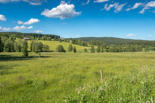 meadow and blue sky in the mountains - &Scaron;umava National Park, Czech republic 