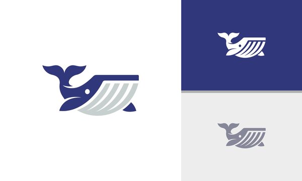 Creative whale logo symbol vector illustration
