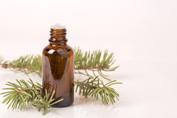 Glass bottle with aromatic oil or serum of a sprig of needles. Natural organic cosmetic spa concept.