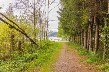 Waldweg bei Zell am See
