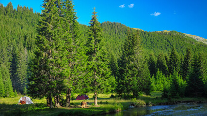 Sunset panorama of tents camped in a green glade along which Lotru river flows. The whole scenery is completed by dense coniferous forests. Parang massif, Carpathian Mountains, Romania.