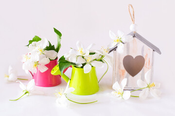Little watering cans with apple blossom composition