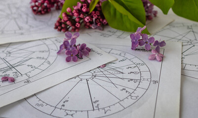 Printed astrology charts with tiny lilac flowers and a part of a branch