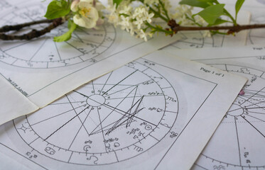 Fototapeta na wymiar Old printed charts with whitee lilac flower branch