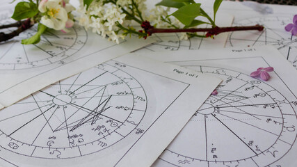 Old printed charts with whitee lilac flower branch