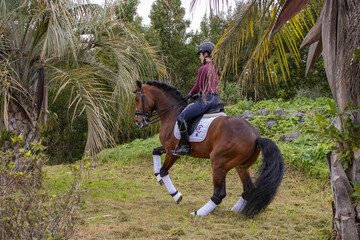 Dressage rider with her amazing Lusitano horse, Azores islands.