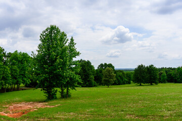Fototapeta na wymiar Semi Open Field With Trees-1104