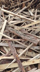 Biofuel chips. A pile of wood chips close-up. Background and texture