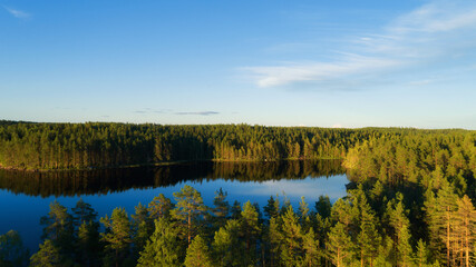 Fototapeta na wymiar Aerial view of blue lake and green pine forests on a sunny summer day in Finland. drone photography 