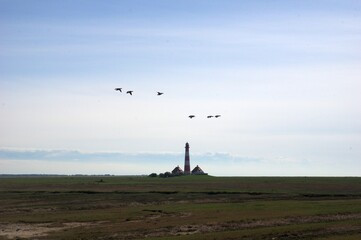 Westerhever im Gegenlicht mit Gänsen