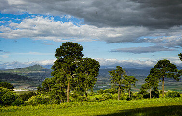 landscape with vineyard and clouds