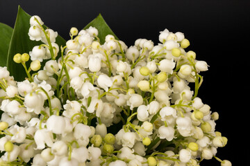 A large bouquet of forest lily of the valley against a dark background, place for text, bright color, high contrast.