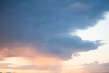 sky, sunset, clouds and birds