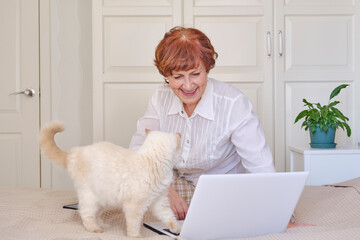 Senior woman using a laptop at home. Happy retired person shopping online.