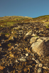 Varful Ineu - muntii rodnei