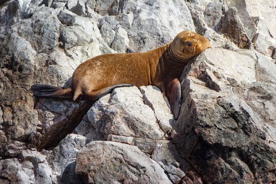 4 774 Best Tierno Images Stock Photos Vectors Adobe Stock