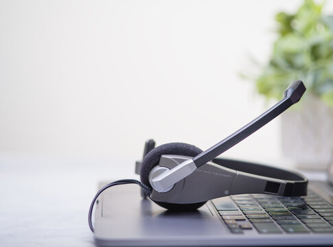 Computer keyboard, headphones with headset. In the background is an indoor flower. Gray tones. White background. There is an empty space for your insert. There are no people in the photo.