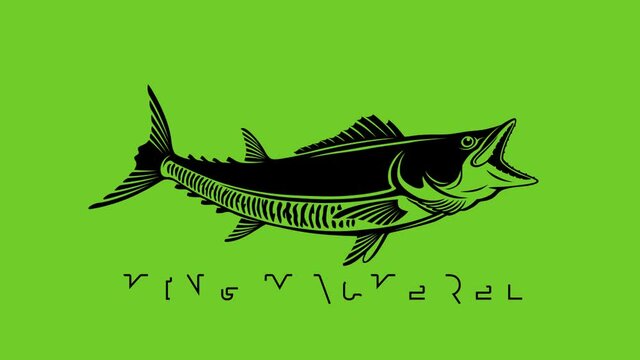 king mackerel