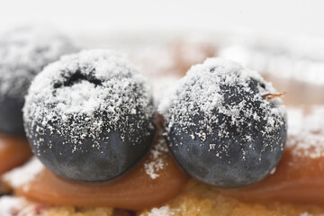 Delicious blueberries with powdered sugar close-up, macro