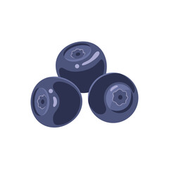 Bilberry vector flat simple icon. Cartoon illustration of fresh berry isolated on white.