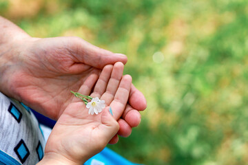 The granddaughter's palm lies in her grandmother's palm. concept: the continuation of life, care and protection of children, generational change