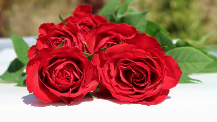 bouquet of five fresh roses arranged on a white surface
