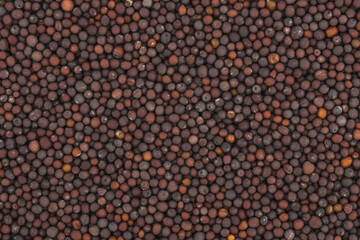 Close up photo of black mustard seeds. Top view high resolution macro photo.