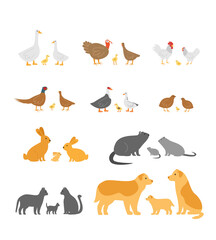 big set of farm animals. birds, rodents and pets. goose, chicken, turkey, pheasant, duck, rabbit, nutria, cat, dog. flat style